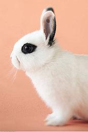 《Solar Ash》将于9月14日登陆Xbox和Switch平台